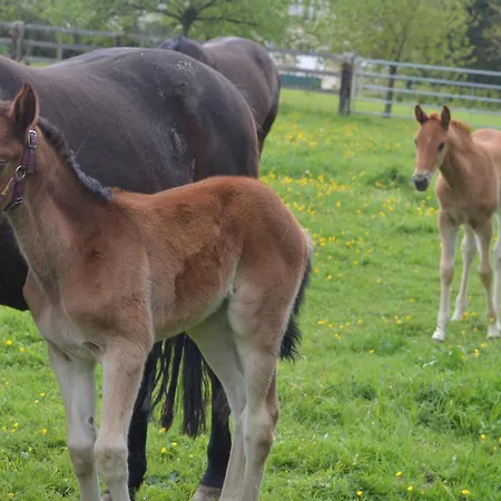 Ferme Manoir De Cremel